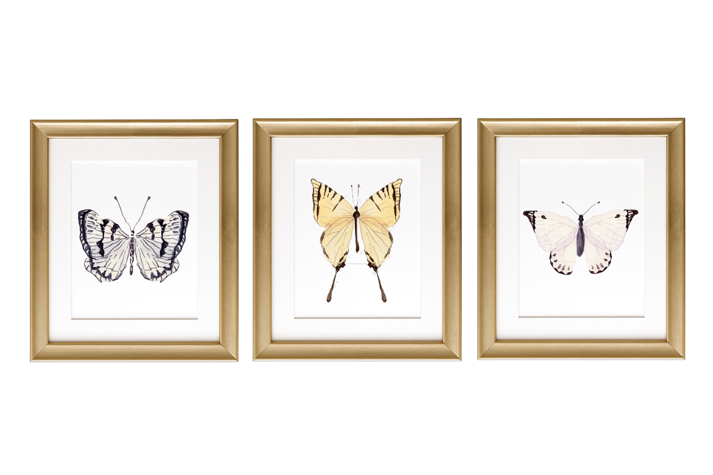 Wings of the Garden Watercolor Prints