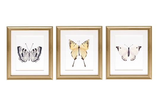 Wings of the Garden Watercolor Prints