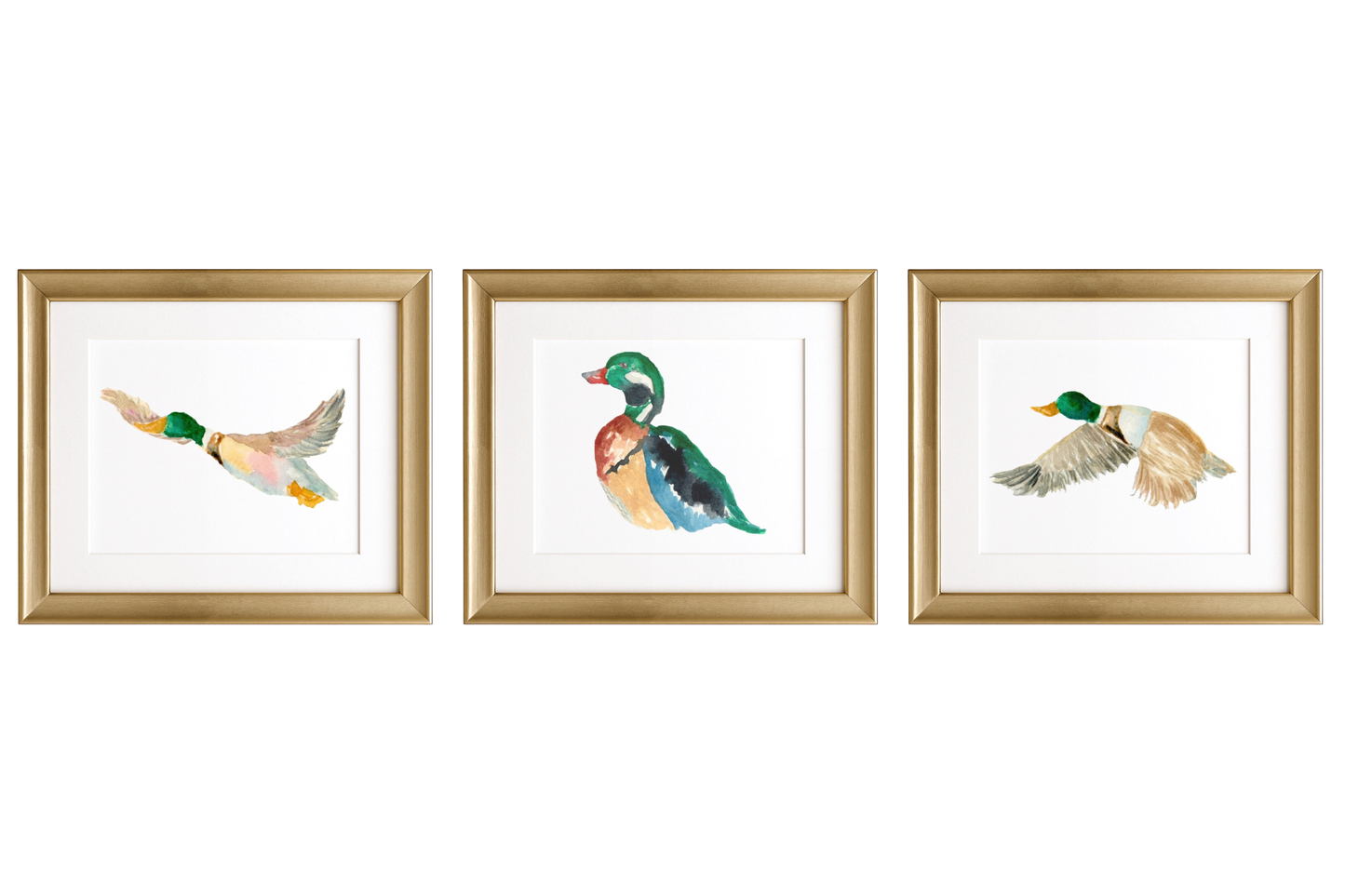Mallards in Motion Watercolor Prints